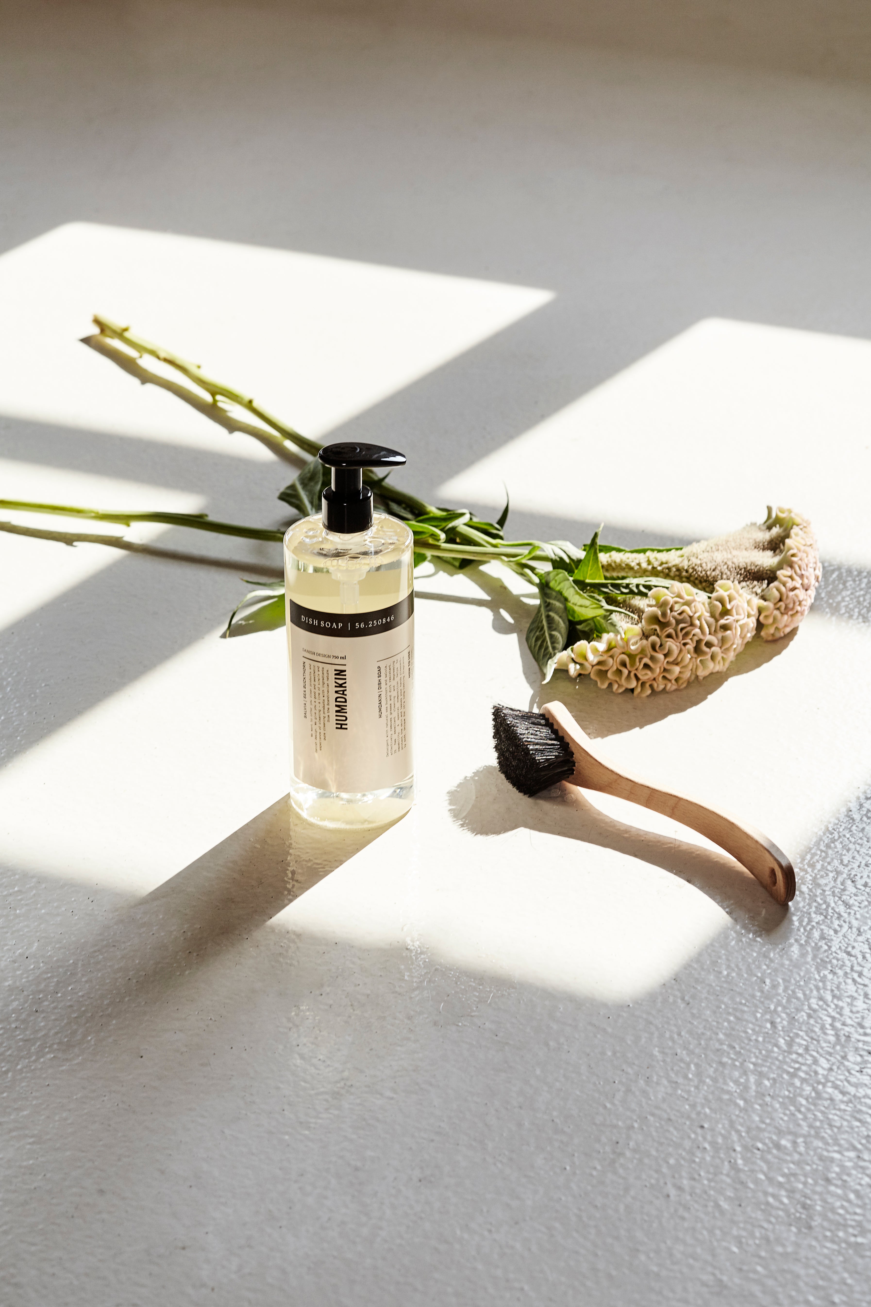 Say hello to our new and exclusive dish brushes!
