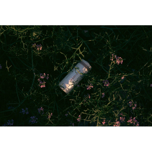 HUMDAKIN 01 Body Lotion 500 ml. - Chamomile & Sea Buckthorn Hair and Body care 00 Neutral/No color