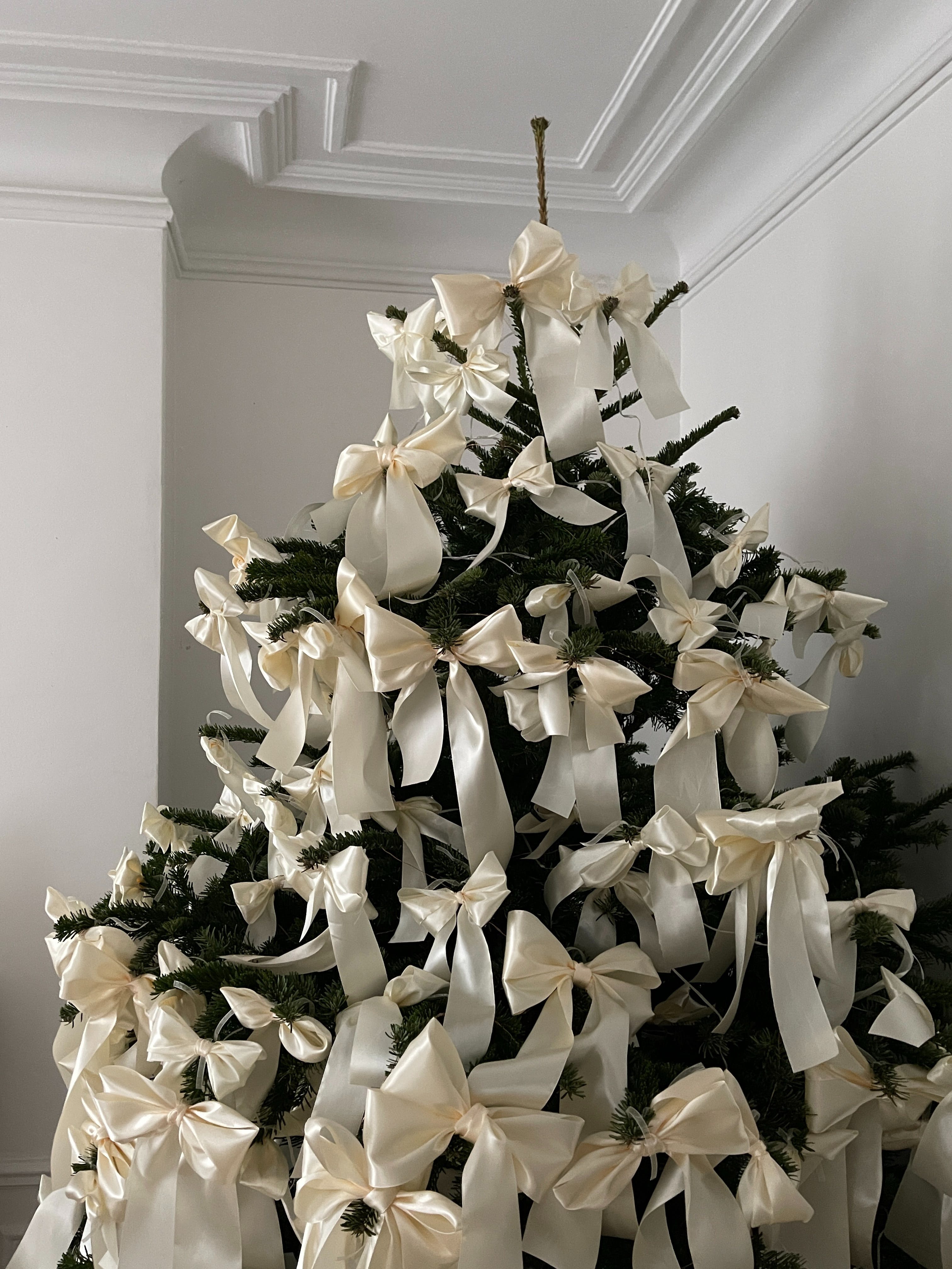 Houd schoon en blijf gemotiveerd voor de kerstschoonmaak