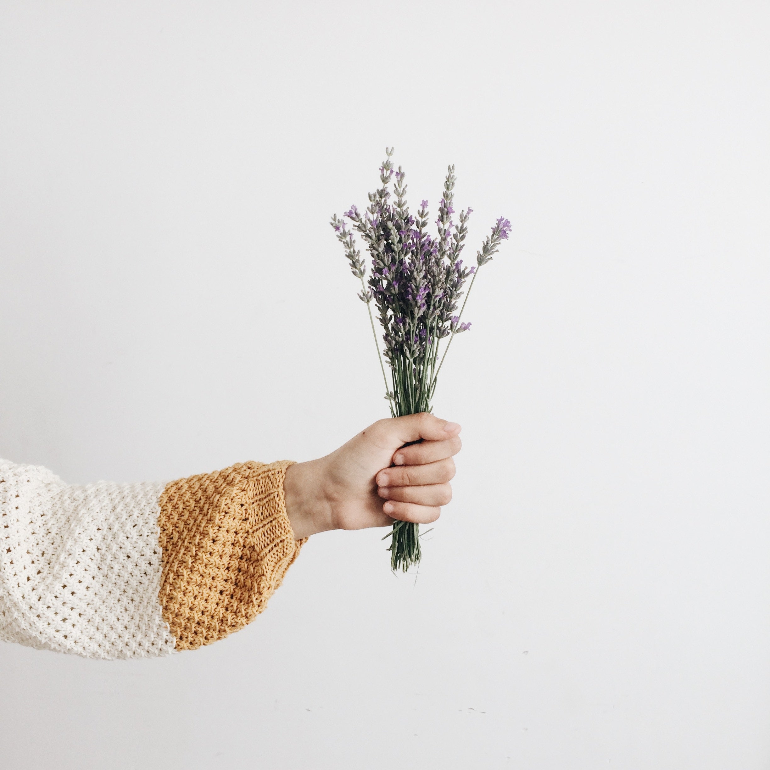 Våre favoritt hageblomster